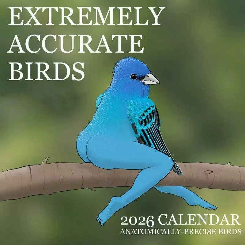 АККУРАТНЫЕ ПИТАНИЯ CALENDAR OF – обзор и цена Home Decor Xmas Gifts