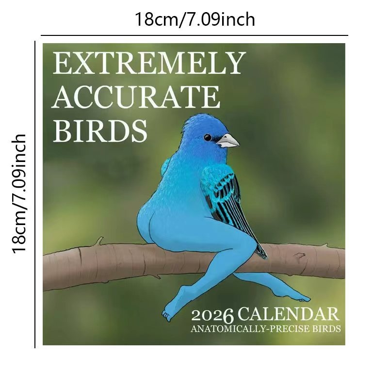 АККУРАТНЫЕ ПИТАНИЯ CALENDAR OF – обзор и цена Home Decor Xmas Gifts