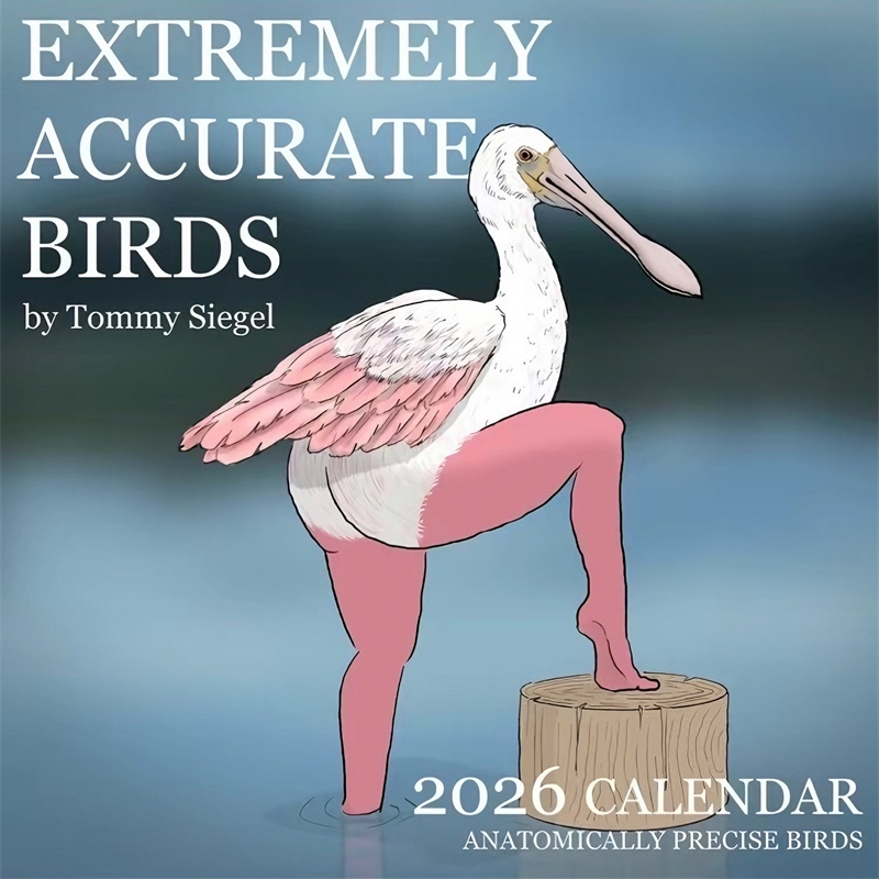 АККУРАТНЫЕ ПИТАНИЯ CALENDAR OF – обзор и цена Home Decor Xmas Gifts